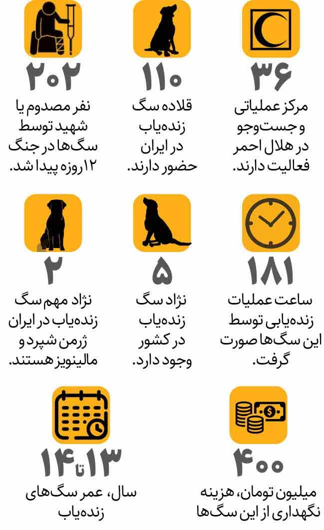 نجات صدها نفر توسط سگ ‌های زنده یاب+ اینفوگرافیک
