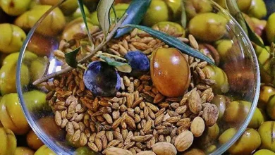 با خواص باورنکردنی هسته زیتون آشنا شوید