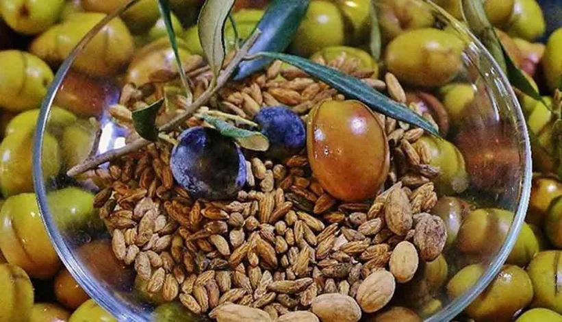 با خواص باورنکردنی هسته زیتون آشنا شوید 1 با خواص باورنکردنی هسته زیتون آشنا شوید