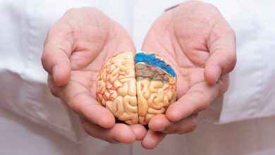 زنگ خطر آلزایمر در ایران؛ هر ۷ دقیقه یک مبتلا