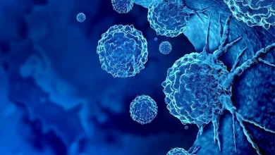 پژوهش جدید: پرتودرمانی راه را برای ایمنی‌درمانی باز می‌کند