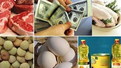 تخصیص ارز 28500 تومانی به کالاهای اساسی