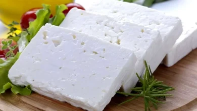 آیا خوردن پنیر باعث کابوس می‌شود؟ پژوهش جدید پاسخ می‌دهد