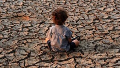 گرمایش زمین به حذف یکی از وعده های غذایی از سفره انسان