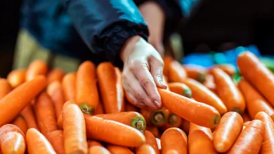 راستیآزمایی سه ادعای رایج درباره هویج، کرفس و سیبزمینی 8 راستیآزمایی سه ادعای رایج درباره هویج، کرفس و سیبزمینی