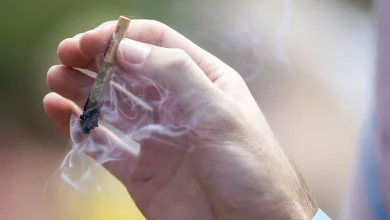 اعتیاد به حشیش در کمین نوجوانان 4 اعتیاد به حشیش در کمین نوجوانان