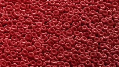 چرا خونِ جوان فرآیند پیری را معکوس می‌کند؟