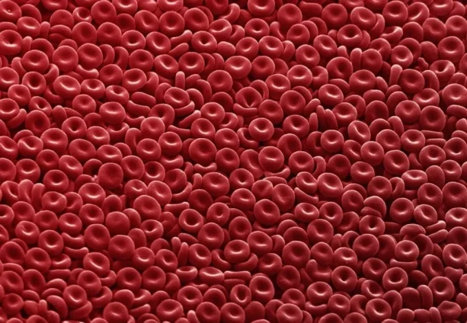 چرا خونِ جوان فرآیند پیری را معکوس می‌کند؟