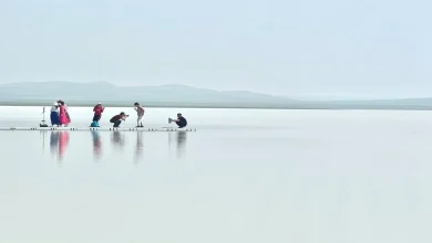 دریاچهای به رنگ سفید شیری+ عکس 10 دریاچهای به رنگ سفید شیری+ عکس