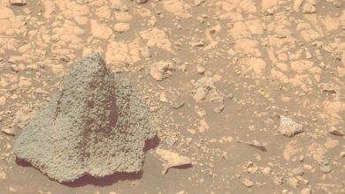 مریخ نورد پرسویرنس سنگی شبیه کلاهخود در مریخ یافت 6 مریخ نورد پرسویرنس سنگی شبیه کلاهخود در مریخ یافت