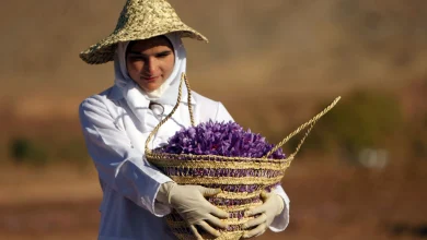 چرا بازار زعفران ایران افت کرده است؟ 5 چرا بازار زعفران ایران افت کرده است؟