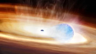 رویداد بیسابقه: انفجار ستاره هنگام تلاش برای بلعیدن سیاهچاله 4 رویداد بیسابقه: انفجار ستاره هنگام تلاش برای بلعیدن سیاهچاله