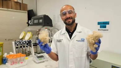 کراتین پشم گوسفند، راهکاری برای محافظت و ترمیم مینای دندان! 10 کراتین پشم گوسفند، راهکاری برای محافظت و ترمیم مینای دندان!