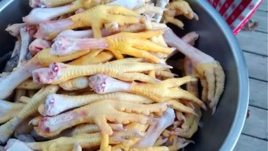 آب قلم و آب پای مرغ تا چه حد خاصیت دارند؟ 3 آب قلم و آب پای مرغ تا چه حد خاصیت دارند؟