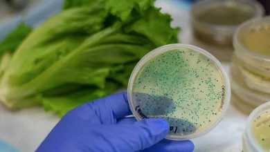 با این روش نوآورانه آلودگی آب و غذا ۲ ساعته تشخیص داده میشود 2 با این روش نوآورانه آلودگی آب و غذا ۲ ساعته تشخیص داده میشود