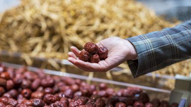 عناب؛ میوهای کوچک با خواص تغذیهای و دارویی بینظیر 8 عناب؛ میوهای کوچک با خواص تغذیهای و دارویی بینظیر