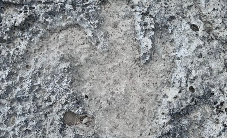 کشف ۱۵ ردپای غولآسای دایناسور در تگزاس پس از سیلاب 1 کشف ۱۵ ردپای غولآسای دایناسور در تگزاس پس از سیلاب