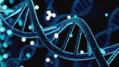 از قد تا هوش؛ میراث ژنتیکی پدر و مادر چگونه تقسیم میشود؟ 3 از قد تا هوش؛ میراث ژنتیکی پدر و مادر چگونه تقسیم میشود؟