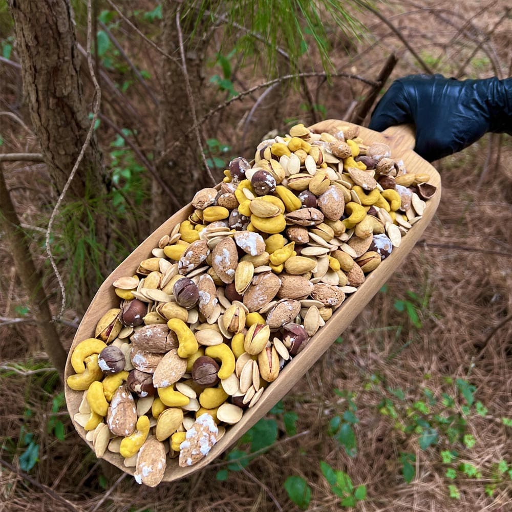 آجیل مخلوط رژیمی