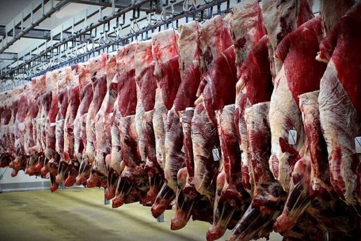احتمال جهش شدید قیمت گوشت با بحران خشکسالی و کمبود نهاده‌های دامی