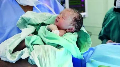 احیای جنین فریز شده بعد از 12 سال در ایران! 5 احیای جنین فریز شده بعد از 12 سال