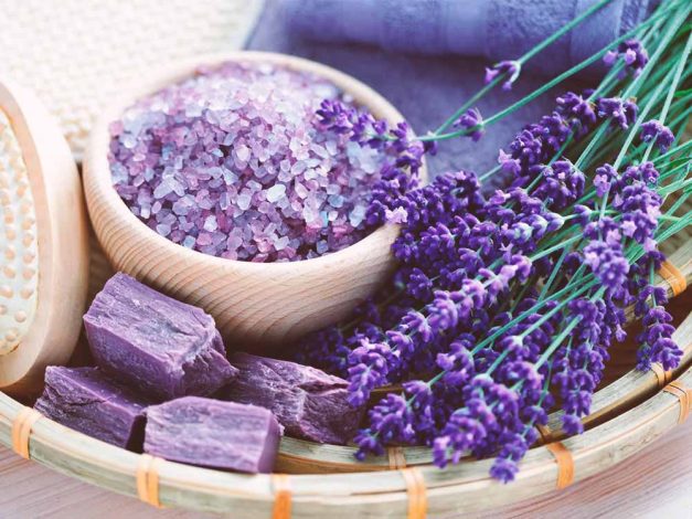 رایحه اسطوخودوس کیفیت خواب بیماران جراحی مغز را بهبود میبخشد 1 رایحه اسطوخودوس کیفیت خواب بیماران جراحی مغز را بهبود میبخشد