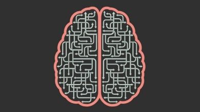 نقش انواع مختلف هوش‌ در موفقیت شغلی افراد