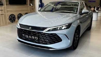 شرایط فروش بی وای دی چین L مرداد 1404