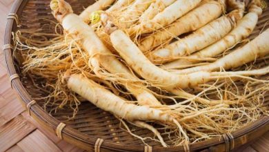 جینسینگ و گانودرما: دو ابرگیاه باستانی با خواص شگفت‌انگیز