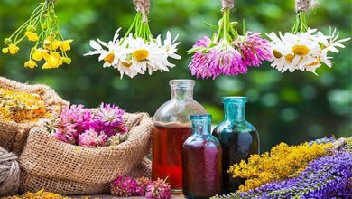 داروهای شیمیایی یا گیاهان دارویی؛ تقابل طب نوین و سنتی در ایران
