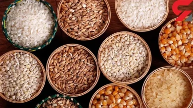 دانههای روغنی برخلاف باور رایج به سلامت قلب کمک میکنند 3 دانههای روغنی برخلاف باور رایج به سلامت قلب کمک میکنند