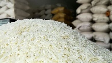 عرضه 150 هزار تن برنج وارداتی توسط دولت برای کنترل قیمتها! 1 عرضه 150 هزار تن برنج وارداتی توسط دولت برای کنترل قیمت برنج!