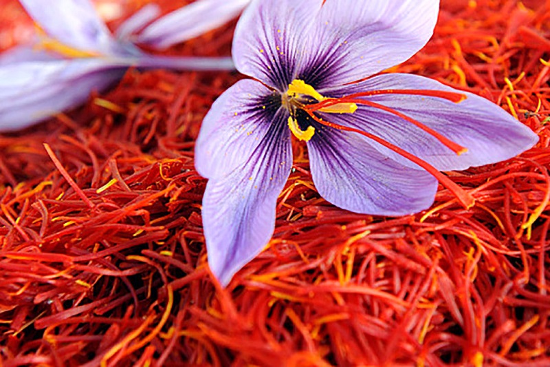 چرا بازار زعفران ایران افت کرده است؟