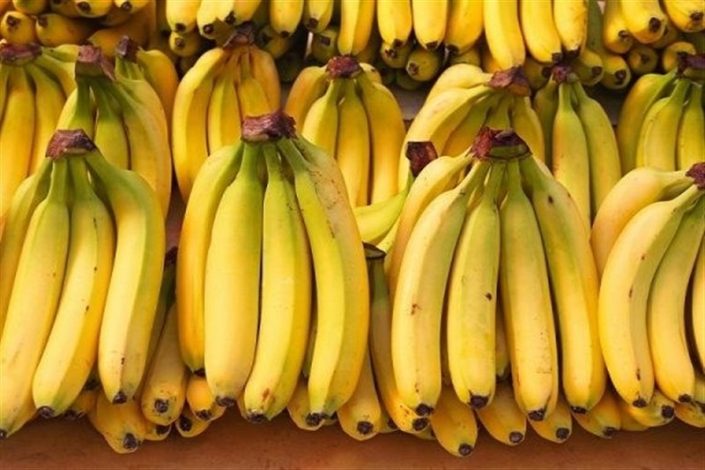 معافیت 100 درصدی واردات موز از حقوق گمرکی برای مرزنشینان 1 معافیت 100 درصدی واردات موز از حقوق گمرکی برای مرزنشینان