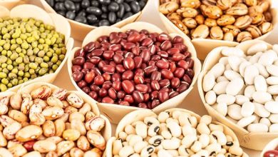 کاهش شدید قیمت حبوبات در بازار در آستانه فصل برداشت 1 کاهش شدید قیمت حبوبات در بازار