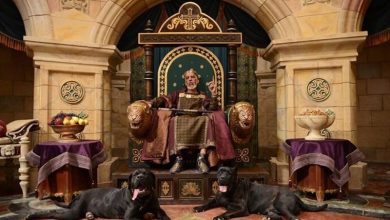 پیش نمایش سریال سلمان فارسی با حضور ریاست سازمان صداوسیما