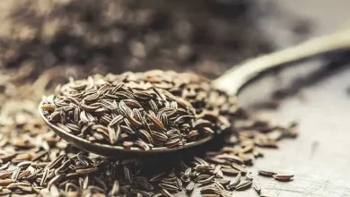 اسانس زیره سبز: امید تازه برای بهبود باروری در مردان دیابتی 4 اسانس زیره سبز: امید تازه برای بهبود باروری در مردان دیابتی