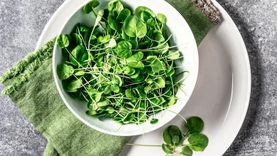 خوراکی سادهای که «سالمترین غذای جهان» لقب گرفت 8 خوراکی سادهای که «سالمترین غذای جهان» لقب گرفت