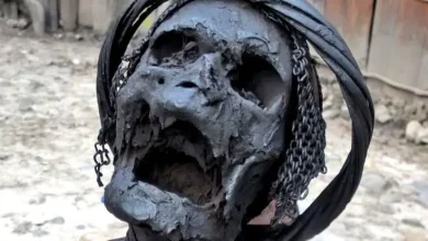 باستان‌شناسان اولین مومیایی جهان را کشف کردند