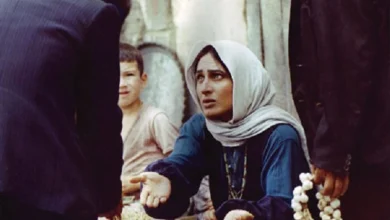 جایزه جشنواره ونیز برای «باشو، غریبه کوچک» پس از چهل سال 6 باشو، غریبه کوچکِ بهرام بیضایی در جشنواره ونیز جایزه برد