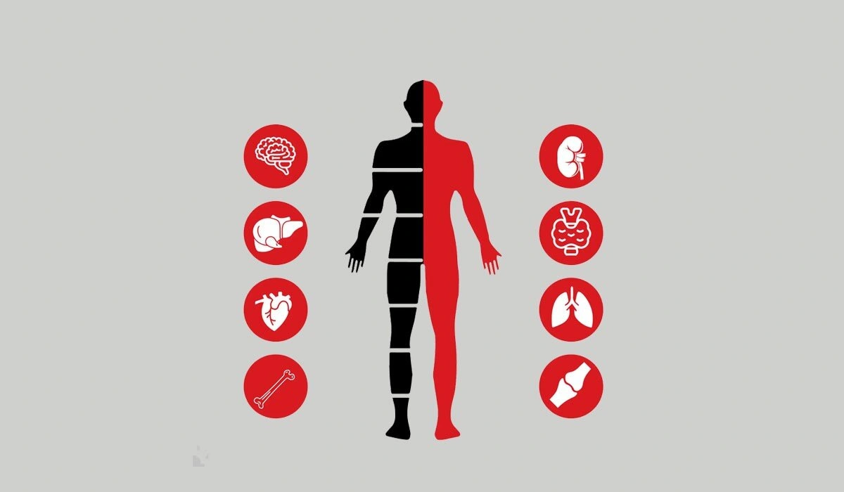 هر آنچه باید از چکاپ کامل خون بدانید