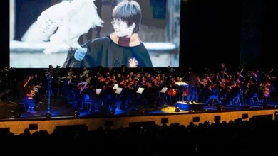 فیدیبو کنسرت موسیقی فیلمهای هری پاتر و ارباب حلقهها را برگزار میکند 11 فیلم-کنسرت هری پاتر و ارباب حلقهها برگزار میشود