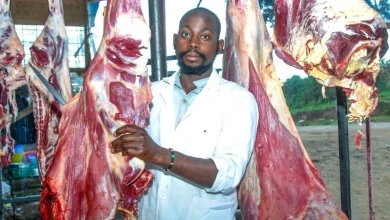 گوشت کنیایی به زودی در تهران عرضه میشود 9 گوشت کنیایی به زودی در تهران عرضه میشود