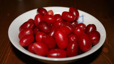 زغالاخته؛ میوهای سرشار از خواص برای قلب، فشار خون و سیستم ایمنی 2 زغالاخته؛ میوهای سرشار از خواص برای قلب، فشار خون و سیستم ایمنی