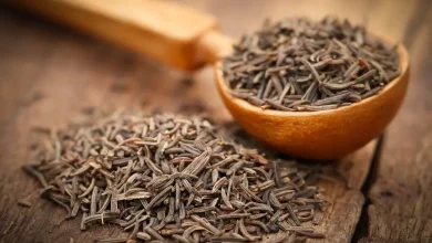 با این ادویه محبوب لاغر شوید 3 با این ادویه محبوب لاغر شوید