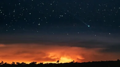 عکس روز ناسا: دنبالهداری جدید در آسمان مکزیک 10 عکس روز ناسا: دنبالهداری جدید در آسمان مکزیک