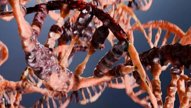 فعالیت این پروتئین میتواند بر پیری و آلزایمر تأثیر بگذارد 1 فعالیت این پروتئین میتواند بر پیری و آلزایمر تأثیر بگذارد