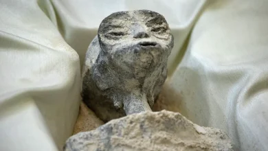 نتایج DNA مومیایی نازکا نشان میدهد بقایای مومیایی شده انسان نیستند! 1 نتایج DNA مومیایی نازکا نشان میدهد بقایای مومیایی شده انسان نیستند!