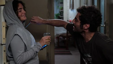 گیشه سینما: مرد عینکی صدرنشین گیشه؛ گوزنهای اتوبان اکران شد 6 مرد عینکی صدرنشین گیشه؛ گوزنهای اتوبان اکران شد