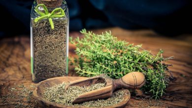 از درمان سرفه تا کنترل فشار خون؛ نگاهی به فواید بینظیر آویشن 2 از درمان سرفه تا کنترل فشار خون؛ نگاهی به فواید بینظیر آویشن